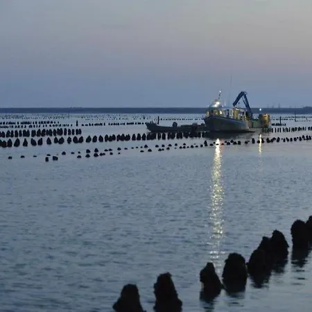 Avec Vue Sur La Lagune La Chenolette Sur Mer